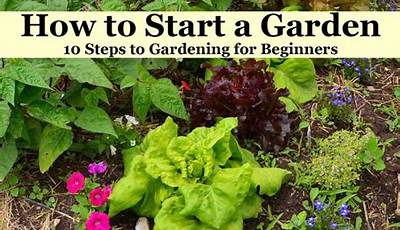 Beginner Gardening Projects