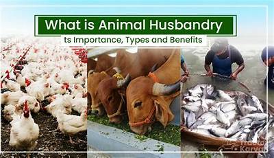 Unlock The Hidden Gems: Discover The Game-Changing Benefits Of Animal Husbandry