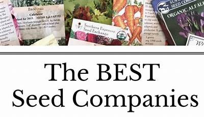 Best Brand Of Seeds For Gardening
