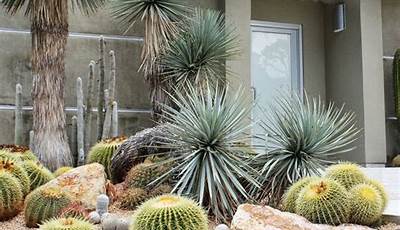 Best Cactus Garden Australia