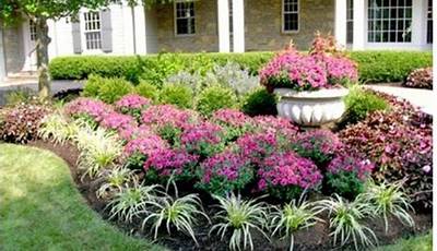 Best Flower Bed Plants For Texas