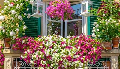 Best Flower Pots For Balcony