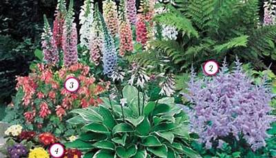 Best Flowering Plants For Zone 7