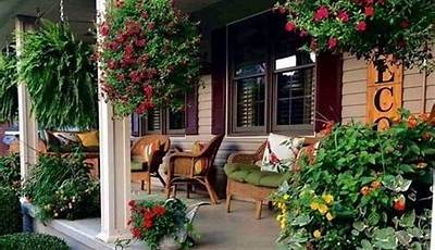 Best Green Plants For Front Porch