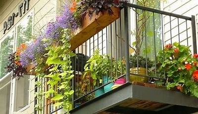 Best Plants For Balcony Brisbane