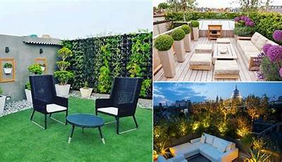 Best Plants For Terrace Garden India