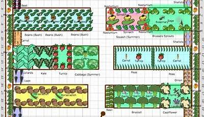 Best Vegetable Garden Layout Planner