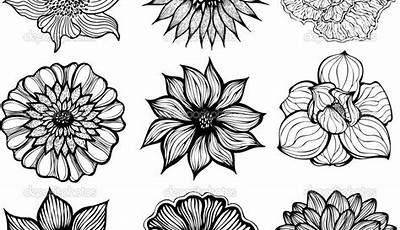 Black And White Flower Printable