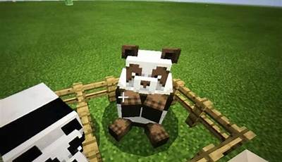 Brown Panda Chance Minecraft