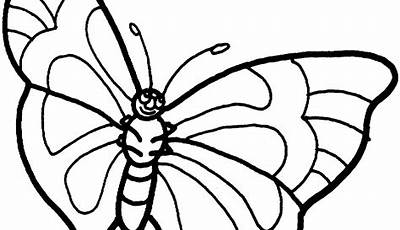Butterflies Printable Coloring Pages