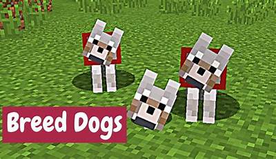 Can You Breed Dogs In Minecraft
