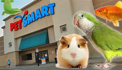 Discover The Secret: Can You Put Animals On Hold At Petsmart? Unlocking Pet Adoption Insights