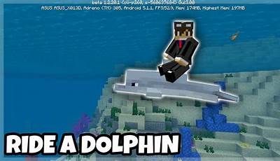 Can You Ride A Dolphin In Minecraft