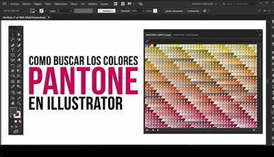 Como Imprimir Pantonera De Colores En El Ilustrator