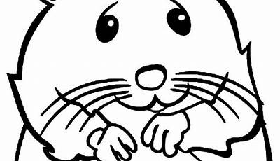 Dibujos De Hamsters Para Colorear E Imprimir