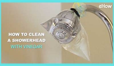 Diy Shower Head Cleaner Vinegar