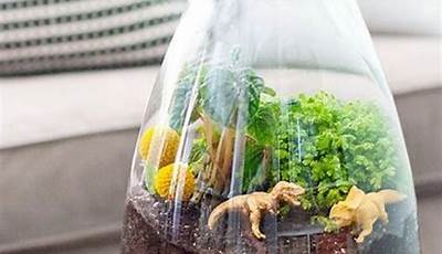 Uncover The Secrets: Easy Animals For Terrariums Revealed!