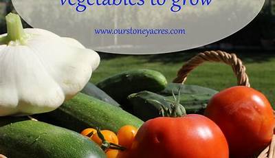 Easy Backyard Vegetables To Grow