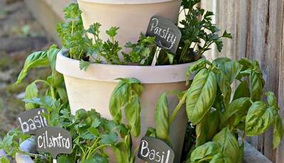 Easy Outdoor Herb Garden Ideas