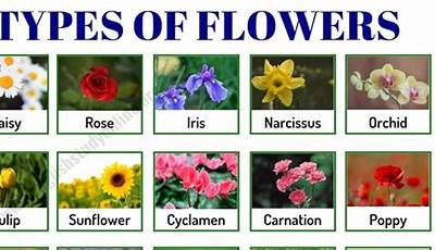 Examples Of Flowering Plants With Names