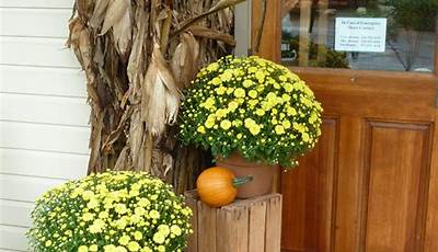 Fall Front Porch Decor Gourds