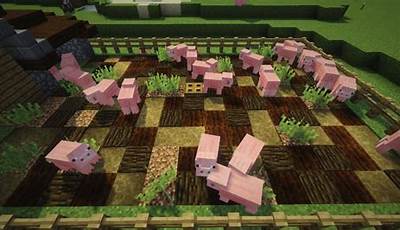 Feed Pigs Minecraft