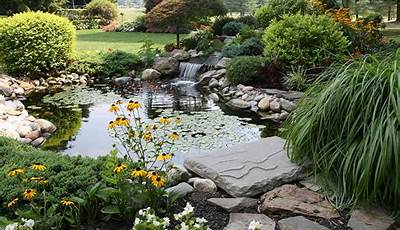 Fish Pond Designs Pictures