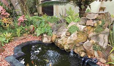 Fish Pond Ideas Pictures
