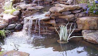 Fish Pond Ideas With Waterfall