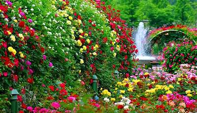 Flower Garden Background Images Download