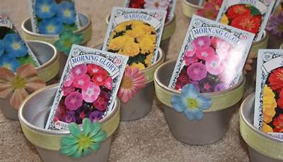 Flower Seed Gifts Uk