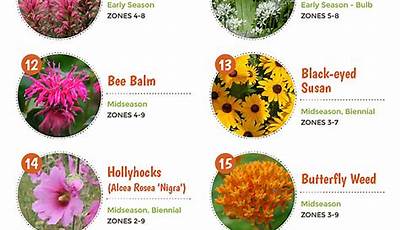 Flowering Garden Plants List