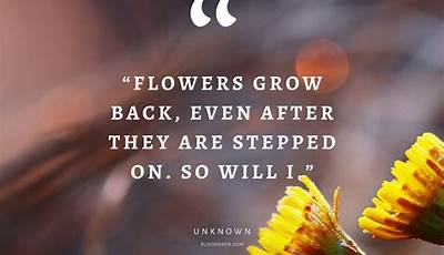 Flowers Grow Back Quotes