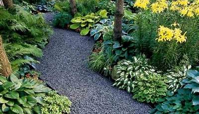 Front Garden Path Ideas Australia