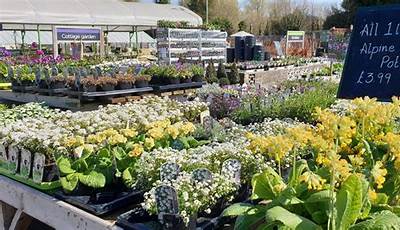 Garden Centre Prices