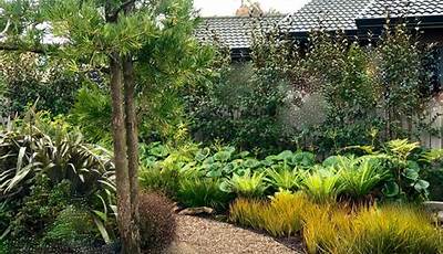 Garden Design Nz Ideas