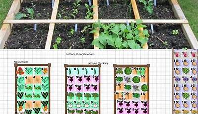 Garden Layout Design Online