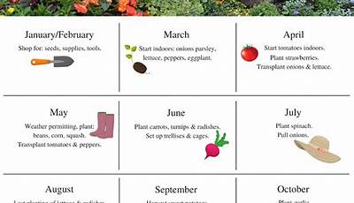 Garden Planning Timeline