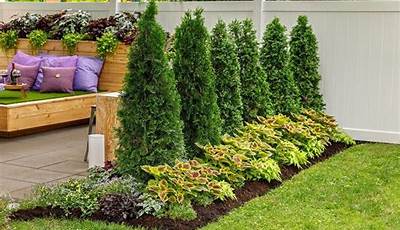 Garden Planting Ideas For Privacy