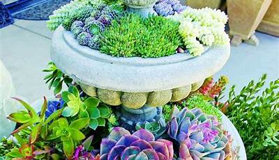 Garden Pot Ideas Images