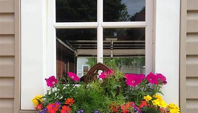 Garden Window Box Ideas