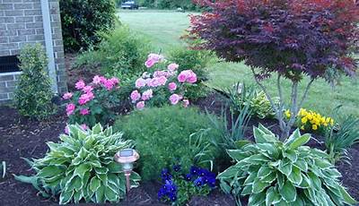 Garden Yard Plants