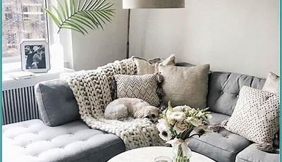 Gray Couch Living Room Pinterest