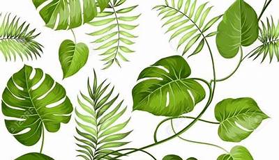 Hojas De Plantas Tropicales Para Imprimir En Color