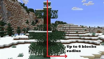 How Much Space Do Trees Need To Grow In Minecraft