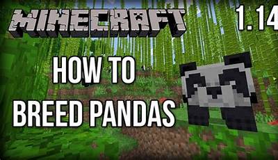 How To Breed Pandas In Minecraft