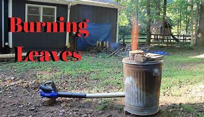 How To Burn Leaves In A Fire Pit