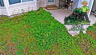 How To Clean Up A Yard Full Of Weeds
