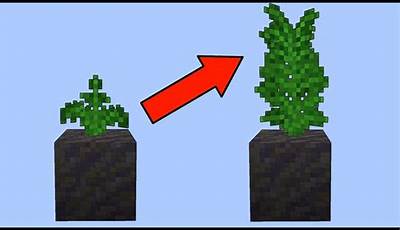 How To Get Ferns In Minecraft