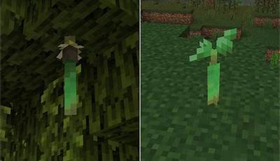 How To Get Propagule In Minecraft